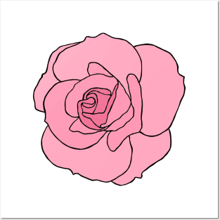 Pink rose Posters and Art